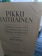 Pikkukuva