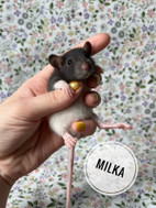 Pikkukuva
