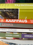 Pikkukuva