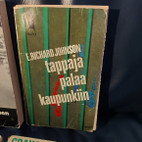 Pikkukuva