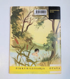 Pikkukuva