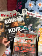 Pikkukuva
