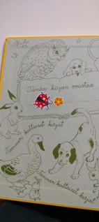 Pikkukuva