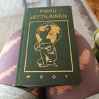 Pikkukuva