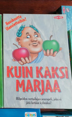 Pikkukuva