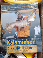 Pikkukuva