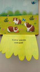 Pikkukuva