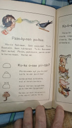 Pikkukuva