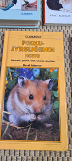Pikkukuva