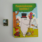 Pikkukuva