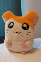 Pikkukuva
