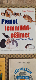 Pikkukuva