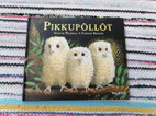 Pikkukuva