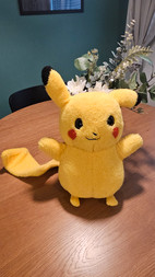 Pikkukuva