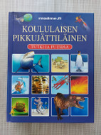 Pikkukuva