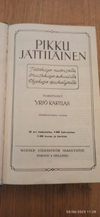 Pikkukuva