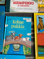 Pikkukuva