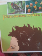 Pikkukuva