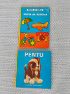 Pikkukuva