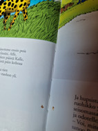 Pikkukuva