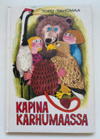 Pikkukuva