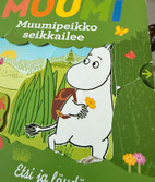Pikkukuva