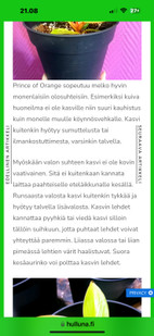 Pikkukuva