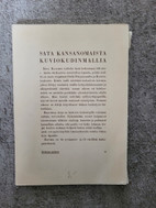 Pikkukuva