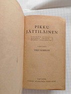 Pikkukuva