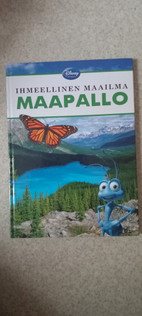 Pikkukuva