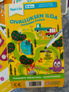 Pikkukuva