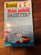 Pikkukuva