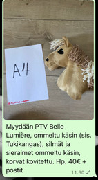Pikkukuva
