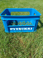 Pikkukuva