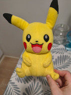Pikkukuva