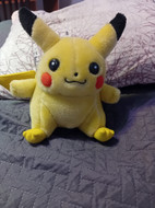 Pikkukuva