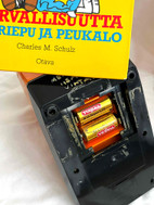 Pikkukuva