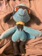 Pikkukuva