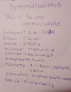 Pikkukuva