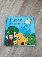 Pikkukuva