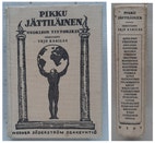 Pikkukuva