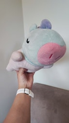Pikkukuva