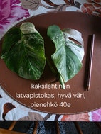 Pikkukuva