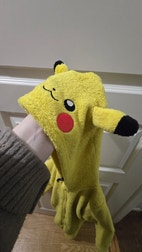 Pikkukuva