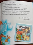 Pikkukuva