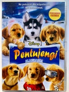 Pikkukuva