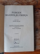 Pikkukuva