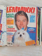 Pikkukuva