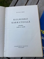 Pikkukuva