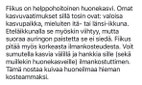 Pikkukuva